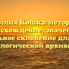 Фамилия Кошка: история и происхождение, значение и правильное склонение для вашей генеалогической архивации.