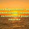 Фамилия Курашвили – история происхождения, значение и правила склонения в родительном падеже