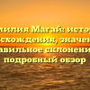 Фамилия Магай: история происхождения, значение и правильное склонение — подробный обзор