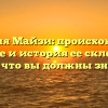 Фамилия Майзи: происхождение, значение и история ее склонения — все, что вы должны знать!