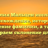Фамилия Мальцев: исследуем происхождение, историю и значение фамилии, а также разбираем склонение для вас!