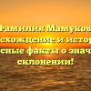 Фамилия Мамуков: происхождение и история — интересные факты о значении и склонении!