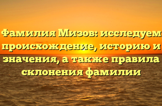 Фамилия Мизов: исследуем происхождение, историю и значения, а также правила склонения фамилии