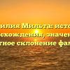Фамилия Мильта: история происхождения, значение и грамотное склонение фамилии