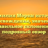 Фамилия Морва: история происхождения, значения и правильное склонение — подробный обзор