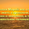 Фамилия Морой: все, что вы хотели знать о происхождении, истории и значении, а также правильное склонение