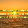 Фамилия Моцкус: происхождение и история, значение и правила склонения под микроскопом