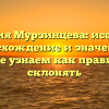 Фамилия Мурзинцева: исследуем происхождение и значения, а также узнаем как правильно склонять