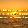 Фамилия Мяки: происхождение и значение, история и склонение фамилии — полный обзор