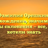 Фамилия Орешкин: происхождение, значимость и способы склонения — все, что вы хотели знать