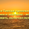 Фамилия Топчая: происхождение, история и значение – всё, что нужно знать, включая склонение!