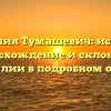 Фамилия Тумашевич: история, происхождение и склонение фамилии в подробном обзоре