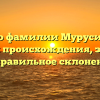 Все о фамилии Мурусидзе: история происхождения, значение и правильное склонение