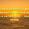 Все, что нужно знать о фамилии Буденкова: происхождение, история и склонение — подробный обзор