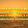 Все, что нужно знать о фамилии Манишкин: происхождение, история и значение, а также правильное склонение.