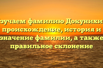 Изучаем фамилию Докунихин: происхождение, история и значение фамилии, а также правильное склонение