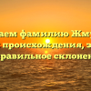 Изучаем фамилию Жмурин: история происхождения, значение и правильное склонение