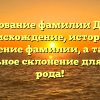 Исследование фамилии Дзундза: происхождение, история и значение фамилии, а также правильное склонение для Вашего рода!