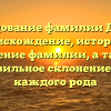 Исследование фамилии Допиро: происхождение, история и значение фамилии, а также правильное склонение для каждого рода