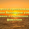 История и происхождение фамилии Валинуров: узнайте о значении и склонении этой фамилии