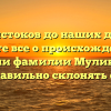 От истоков до наших дней: узнайте все о происхождении и значении фамилии Мулика и как правильно склонять ее!