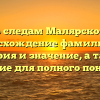 По следам Малярского: происхождение фамилии, ее история и значение, а также склонение для полного понимания
