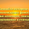 Познайте историю и происхождение фамилии Грецкая: описание, значение и склонение в статье