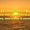 Полное руководство по фамилии Амирагова: происхождение, история, значение и склонение