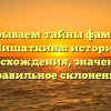 Раскрываем тайны фамилии Мишаткина: история происхождения, значение и правильное склонение
