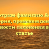 Рассмотрим фамилию Ассонов: история, происхождение и особенности склонения в одной статье