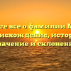 Узнайте все о фамилии Майзи: происхождение, история, значение и склонение