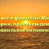 Узнайте все о фамилии Мишанова: история, происхождение и правильное склонение