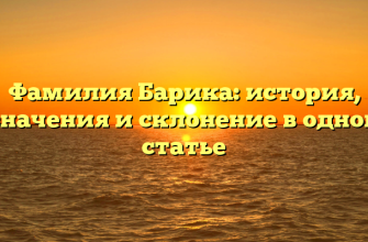 Фамилия Барика: история, значения и склонение в одной статье