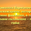 Фамилия Бармалеев: происхождение, история и значение фамилии, а также правильное склонение — полный гайд