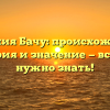 Фамилия Бачу: происхождение, история и значение — всё, что нужно знать!