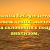 Фамилия Бейгул: история происхождения, значение и правила склонения с подробным анализом.