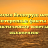 Фамилия Белогруд: истоки, интересные факты и практические советы по склонению