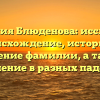 Фамилия Блюденова: исследуем происхождение, историю и значение фамилии, а также склонение в разных падежах.