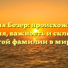 Фамилия Бозер: происхождение и история, важность и склонение этой фамилии в мире