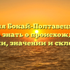 Фамилия Бокай-Полтавец: всё, что нужно знать о происхождении, истории, значении и склонении