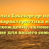 Фамилия Боксбергер: истоки, характеристика и происхождение, склонение и значение для вашего семейства.
