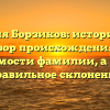 Фамилия Борзиков: исторический обзор происхождения и значимости фамилии, а также правильное склонение