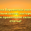 Фамилия Боровичко: исследуем происхождение, интересные факты и правильное склонение в статье!