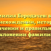 Фамилия Бородачев: все о происхождении, истории, значении и правильном склонении фамилии
