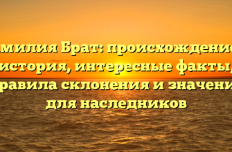 Фамилия Брат: происхождение и история, интересные факты, правила склонения и значение для наследников