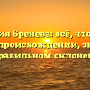 Фамилия Бренева: всё, что нужно знать о происхождении, значении и правильном склонении