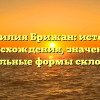 Фамилия Брижан: история происхождения, значение и правильные формы склонения