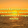 Фамилия Бричко: история происхождения, значение и правила склонения в современном языке