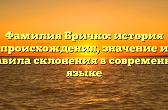Фамилия Бричко: история происхождения, значение и правила склонения в современном языке Фамилия Бричко: история происхождения, значение и правила склонения в современном языке