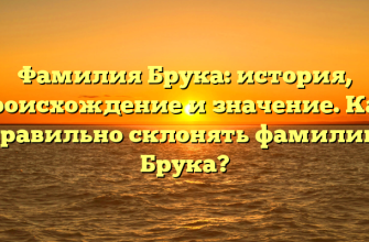 Фамилия Брука: история, происхождение и значение. Как правильно склонять фамилию Брука?